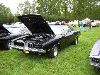 P1010017.JPG